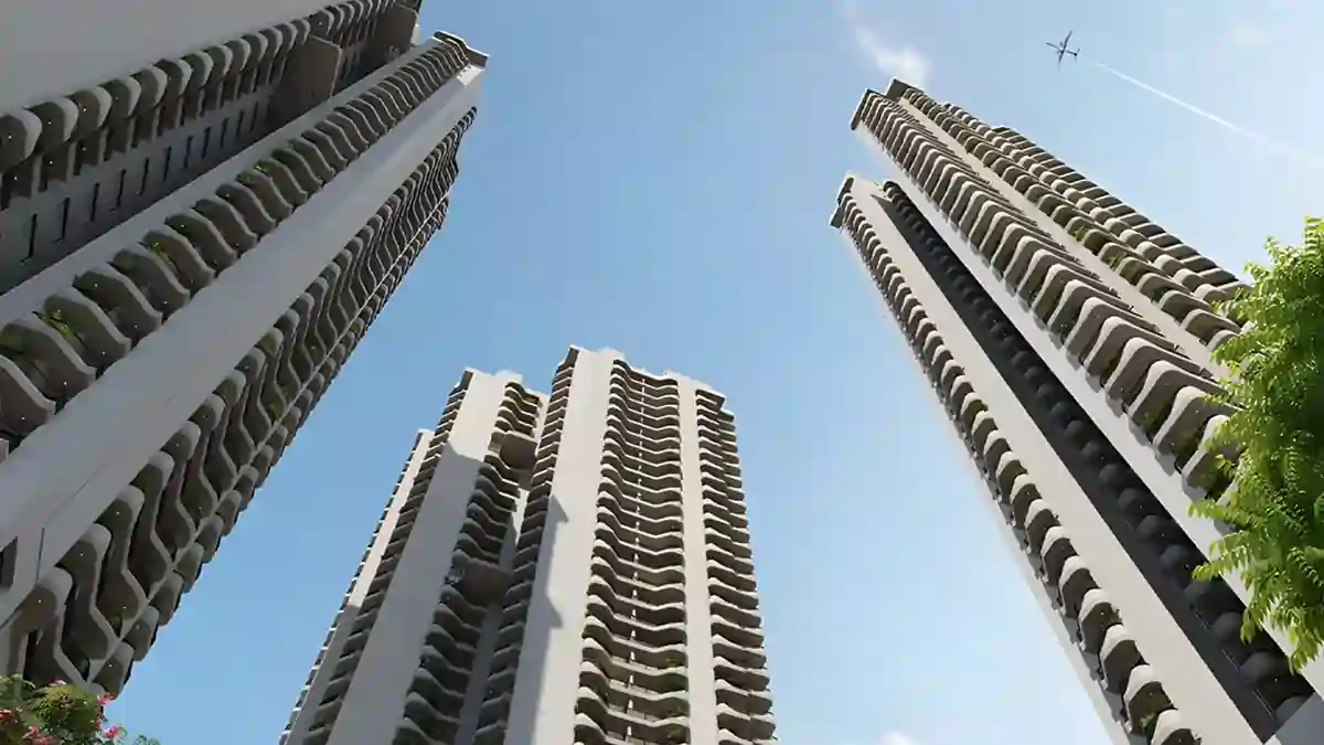 Skyline Perspective